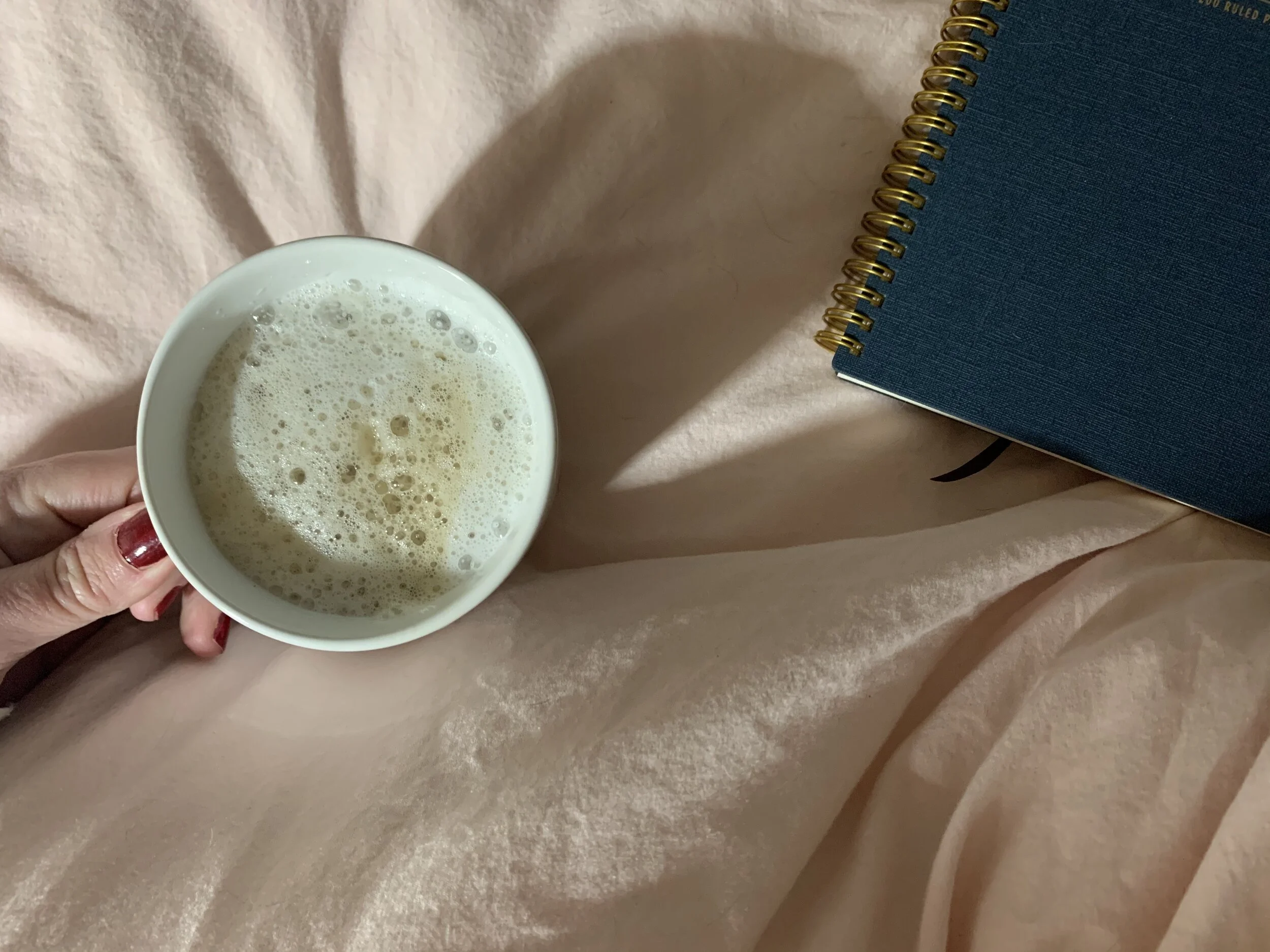 Photo Feb 14, 6 41 41 AM.jpeg