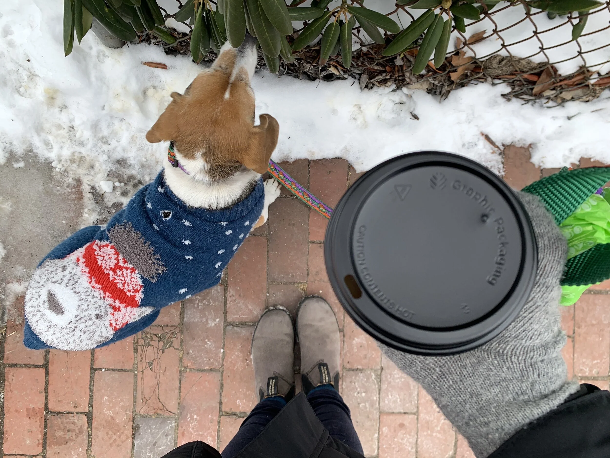 Photo Feb 15, 10 49 07 AM.jpeg