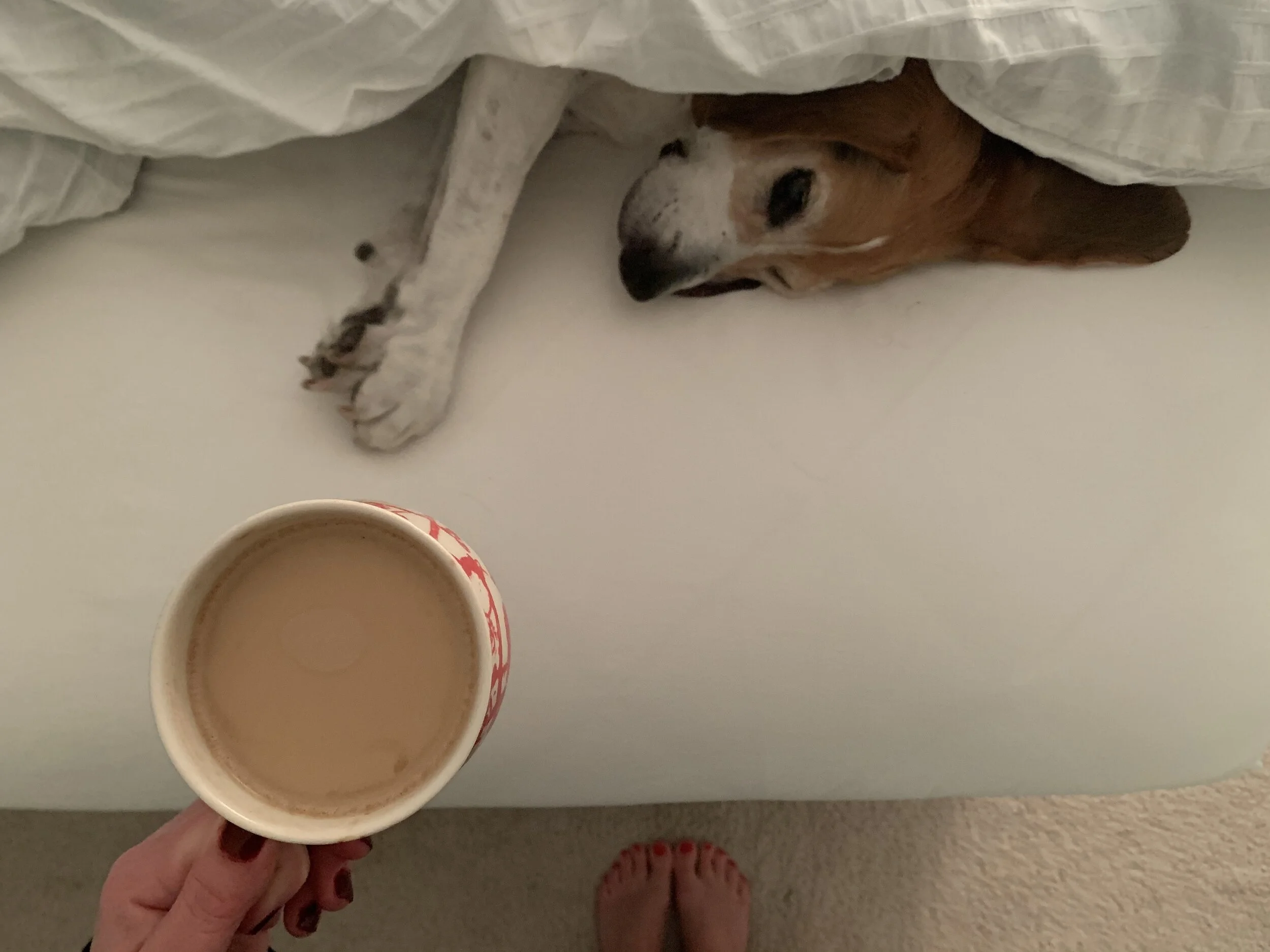 Photo Jan 04, 6 57 09 AM.jpeg