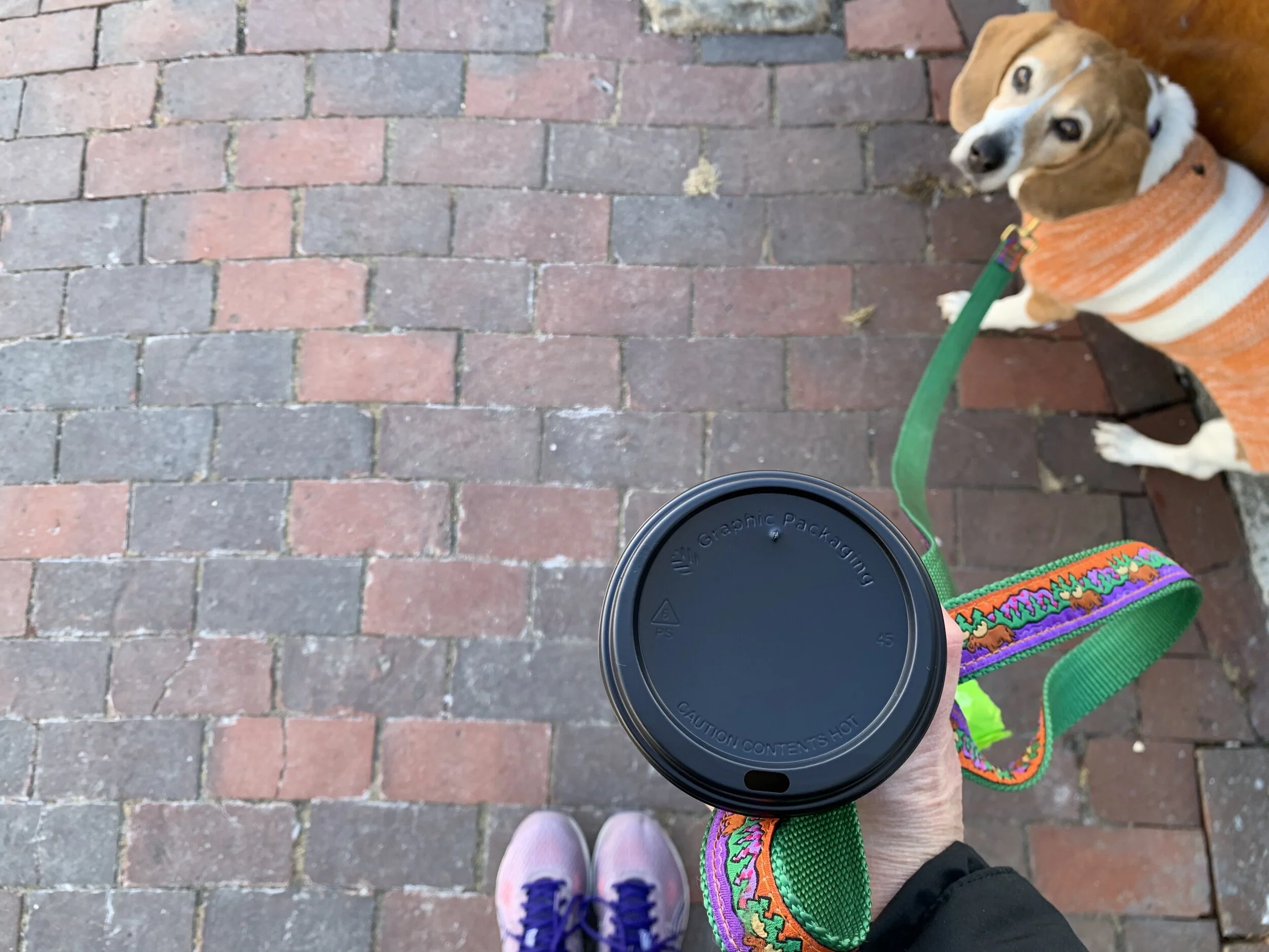 Photo Jan 12, 11 08 38 AM.jpeg