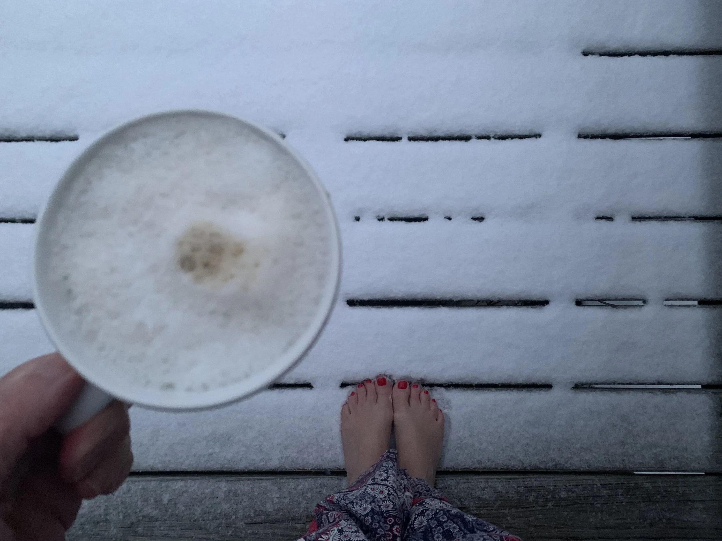 Photo Jan 27, 6 46 30 AM.jpeg