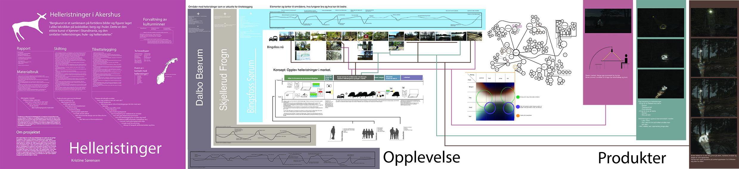 - Gigamap with a collection of gathered information and ideas for a concept and product