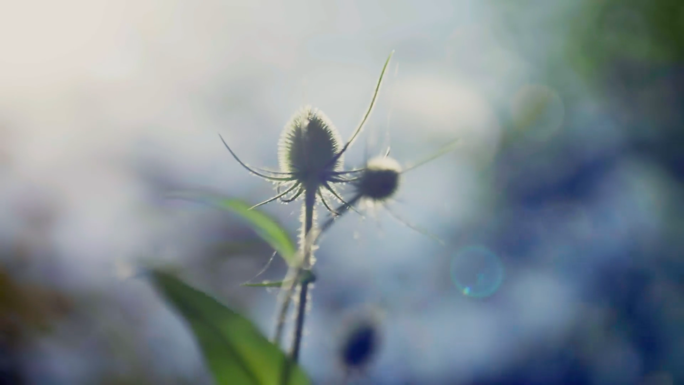 Screen Shot 2023-01-09 at 11.58.10 AM.png