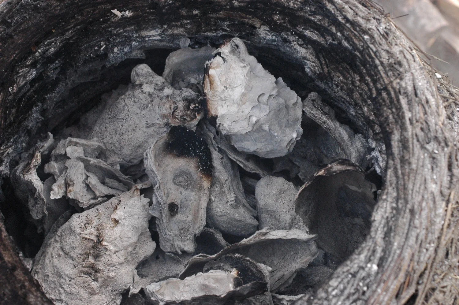 Burned Lime Shells, Ready for Slaking.jpg