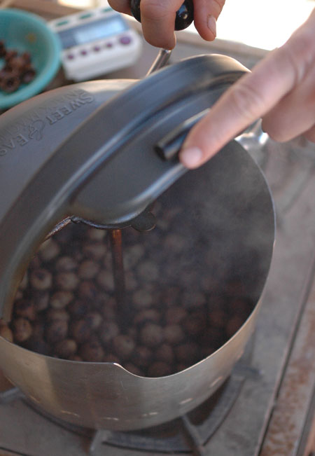 Roating bay nuts in a popcorn popper , my new preferred method until I invent and build a better roaster.