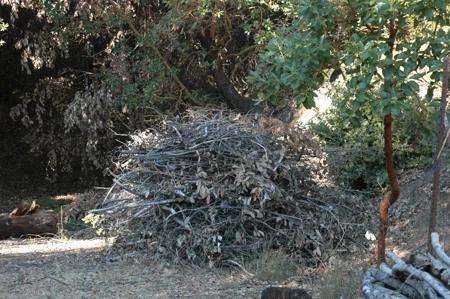 Top down pile, ready to light as soon as rains start. See this pile burn here!