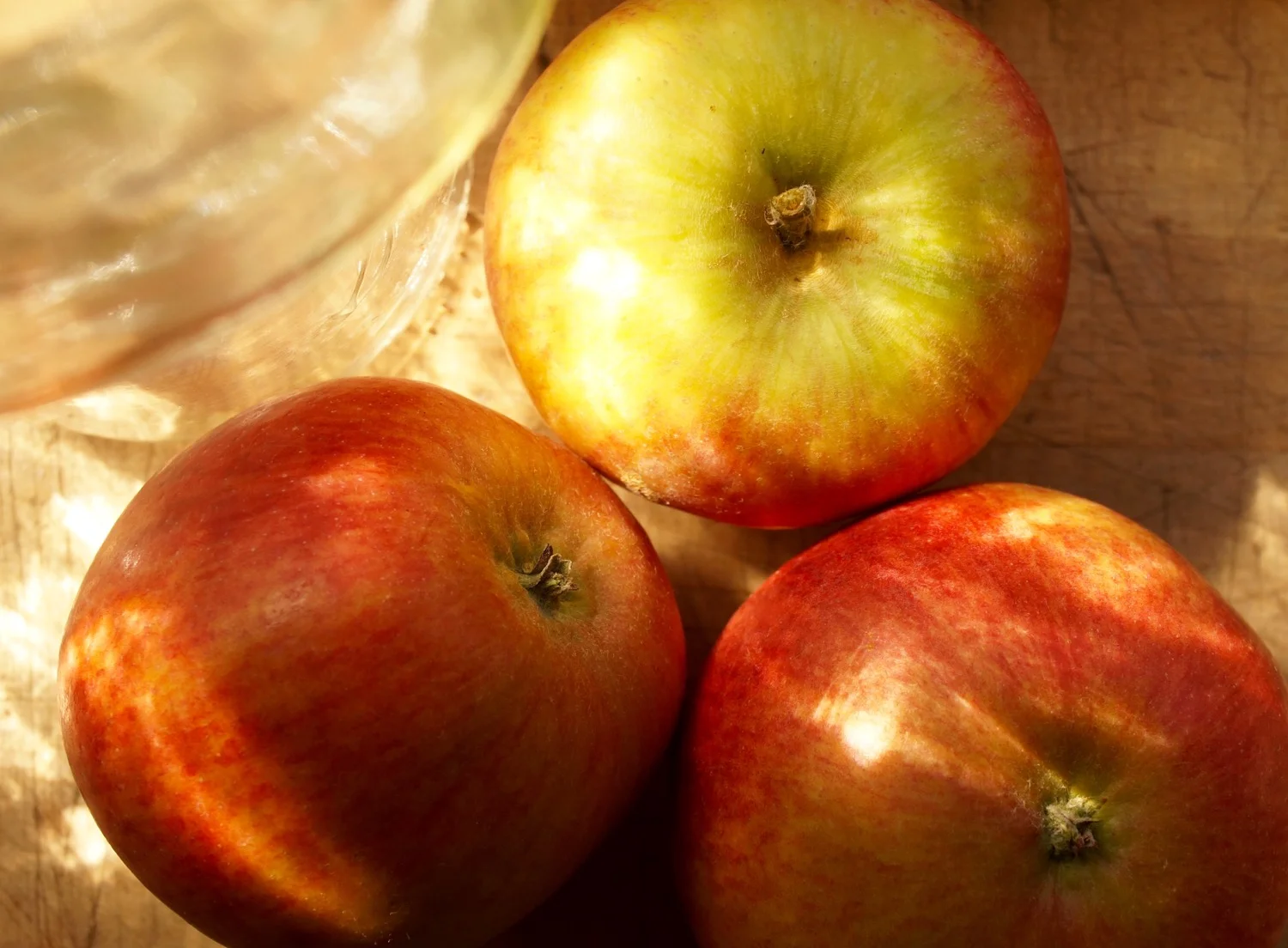 An old early apple variety known as Mother