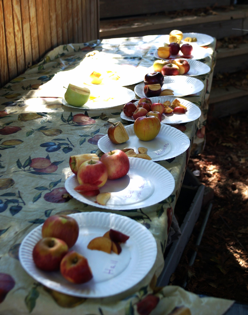 DSC02412.jpg