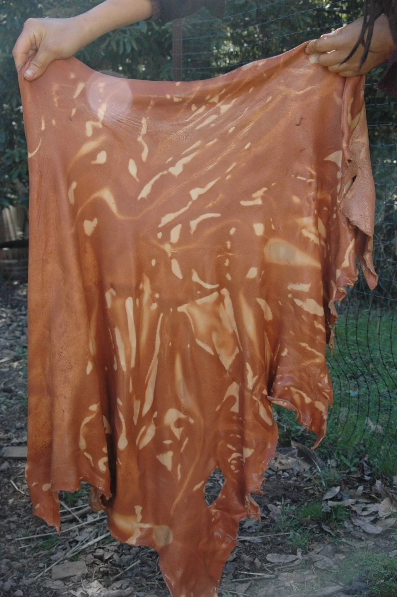 A skin stuffed into a tub of tanning liquor and left overnight. More time would not have improved this situation. The skin would have used up all the liqour and even if more were added, it would still not reach those folds unless the skin was stirred at intervals. This is not tie-dyeing. Tanning liquors must be allowed to act on the skin. A similar effect can happen in other solutions, but it's very obvious in this one.