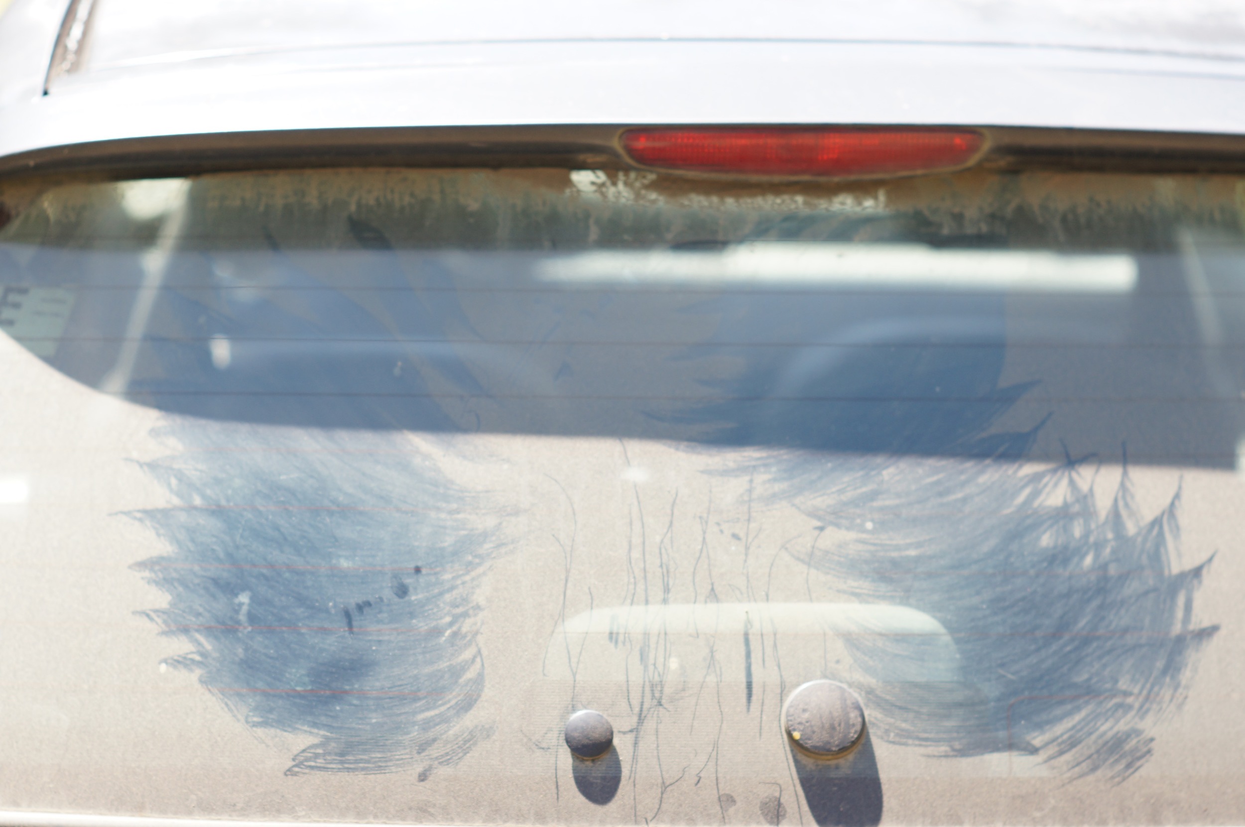 Chicken tracks on my car.