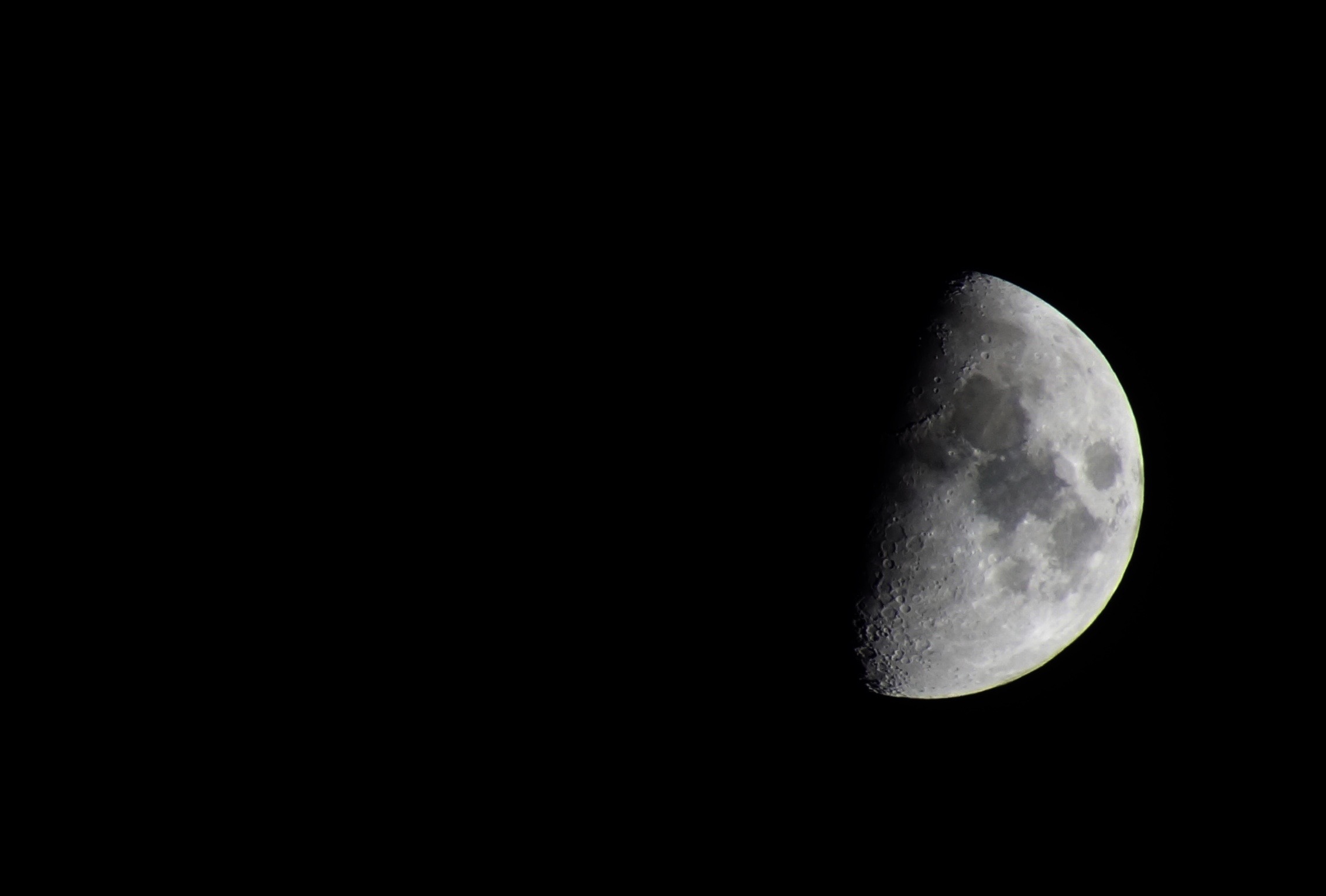 Taken with a 5.00 lens from the thrift store.
