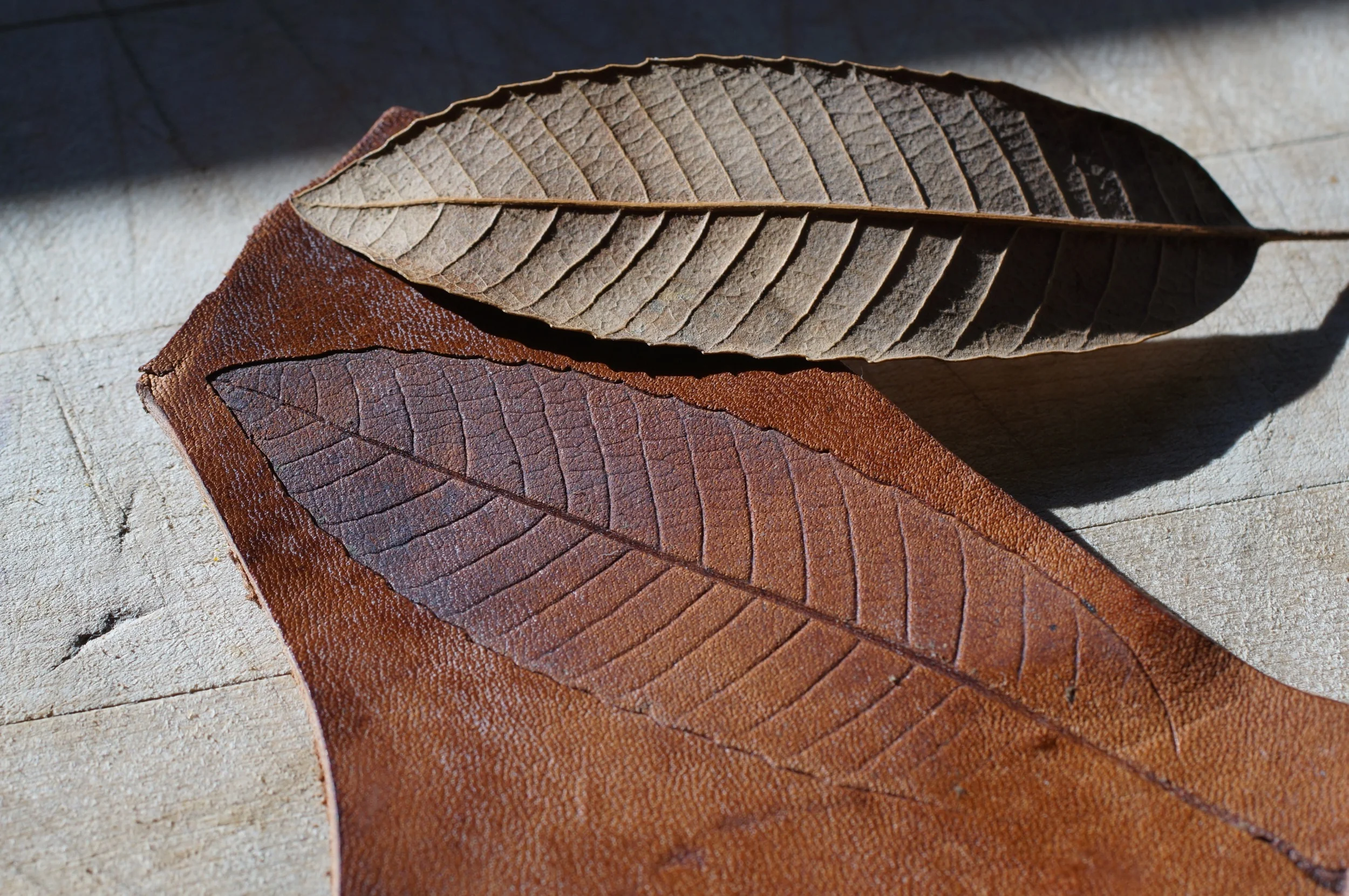An idea I've been toying with, making leaf impressions in leather.