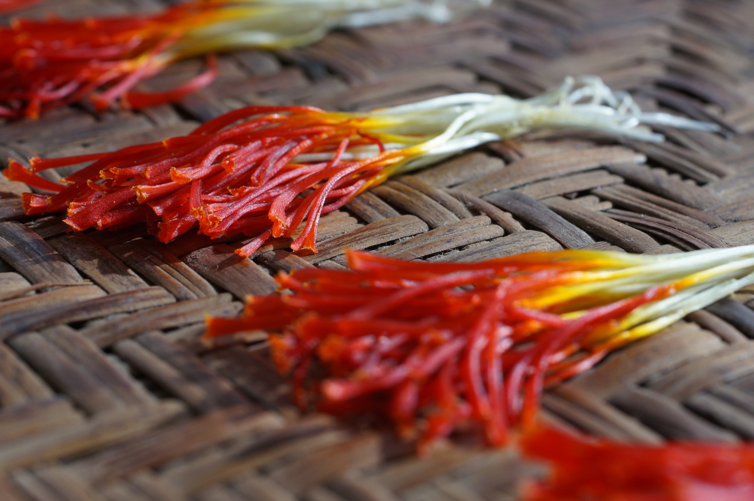 I decided to try bundling them like this as some fancy saffron comes. I think this once was enough! Although it would make a great gift like this, tied with a golden thread.