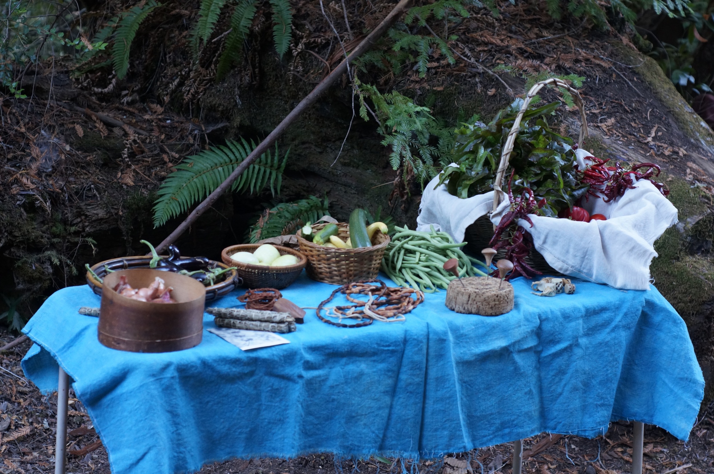 My little table at the very small, very local roadside farmer's market, basically a few of us selling whatever we want, no paper work, no fees, just people who have stuff and people who need stuff.