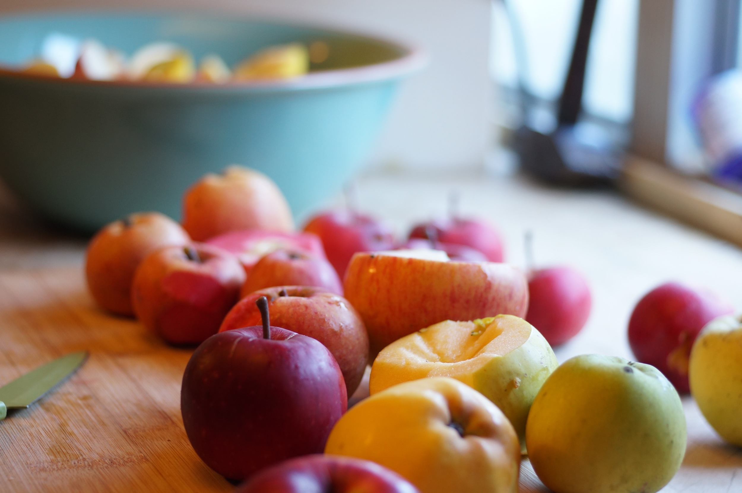 Misc. late apples for apple butter experiment