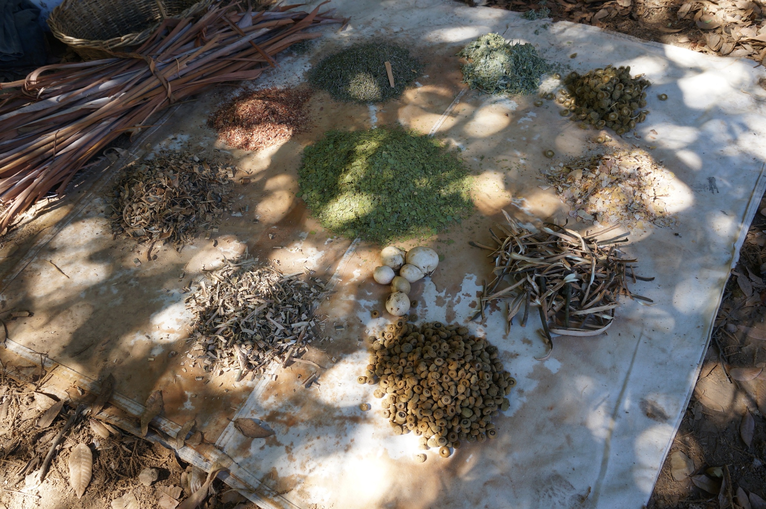 Potential tanning materials for tests. The skin samples are ready, just haven't gotten around to it yet. I probably have over 25 materials collected. Should have some results early this year. video on this project here