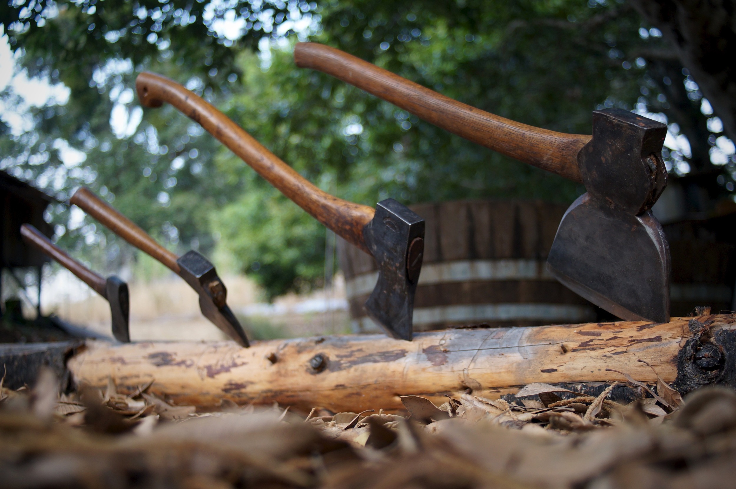 Ax porn for a website header. This is the image on my credit card. Yes, my credit card is that cool.