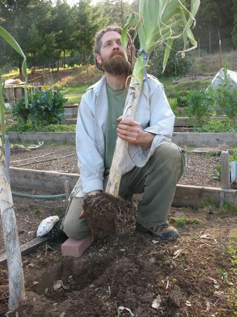 admiring-the-leek.jpg