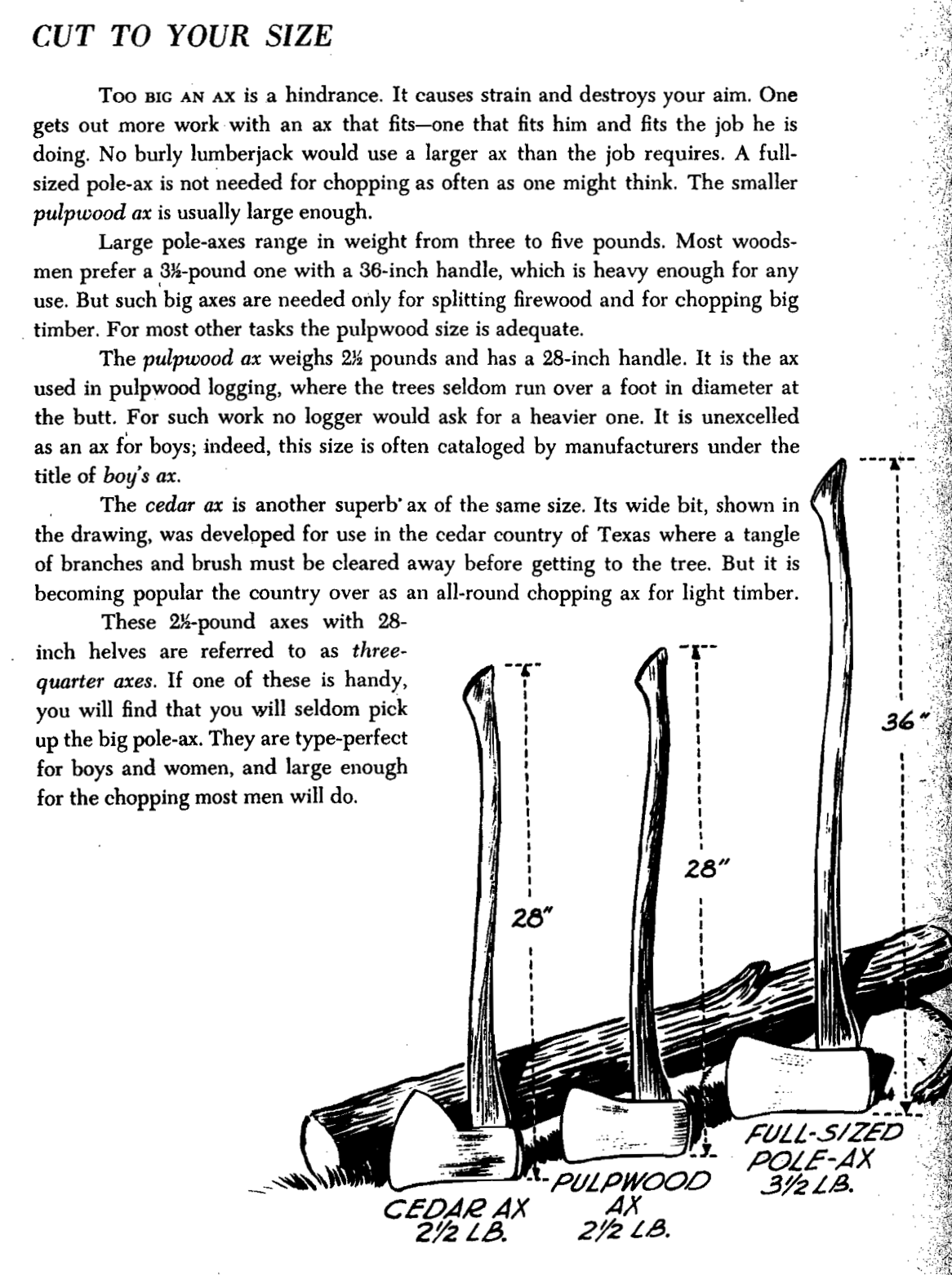  Page from Bernard S. Mason's Woodsmanship