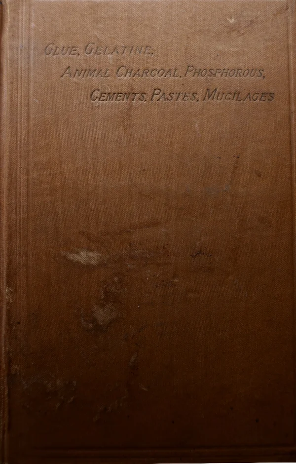 glue book, dawidowsky.jpg