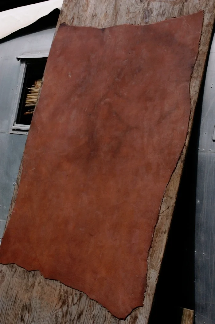 The same hide flattened, smoothed, pasted with fat to the board and left to dry slowly.