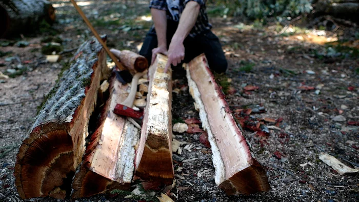 staves and quarter copy.jpg