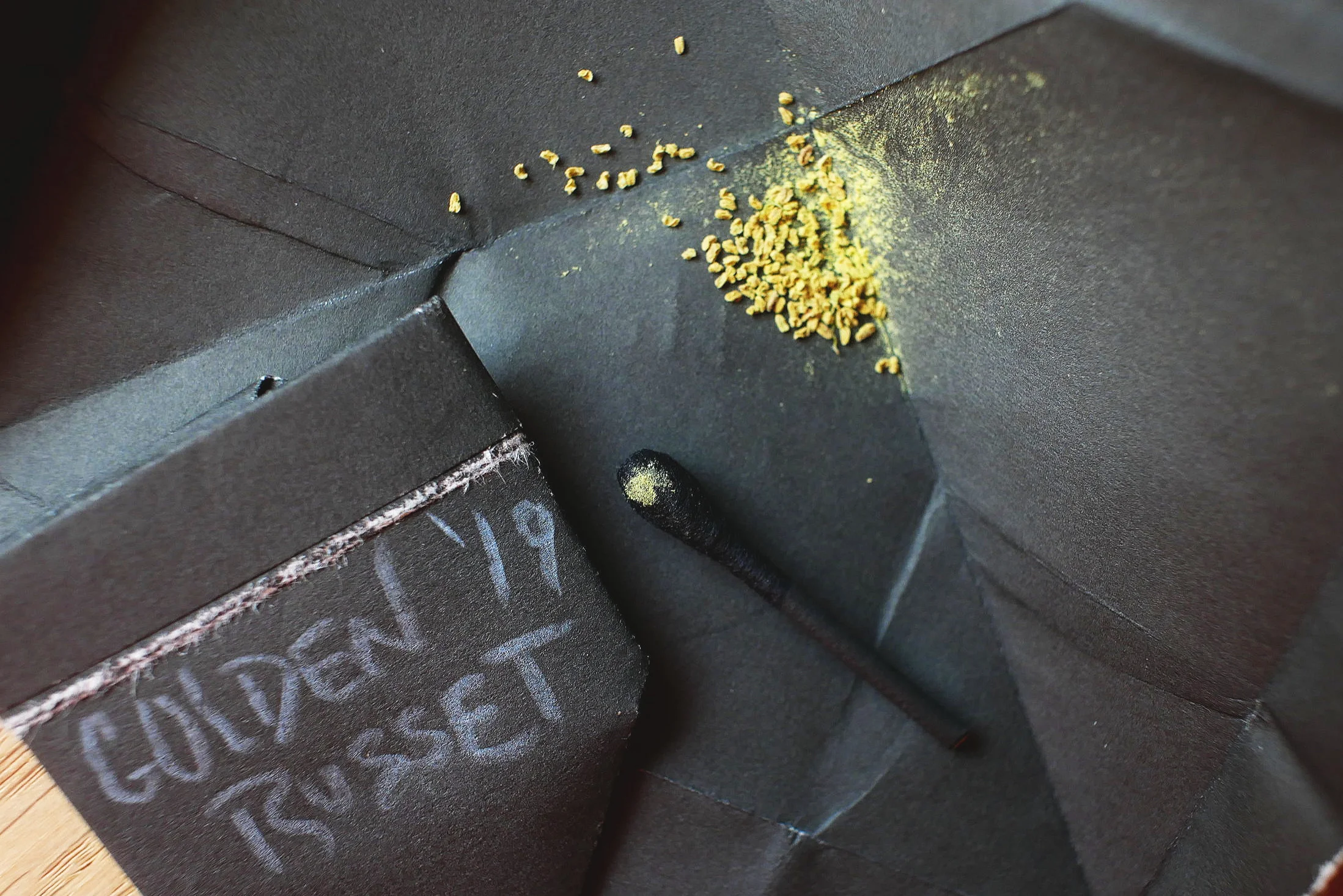 Apple Pollen, Various Varieties — SkillCult
