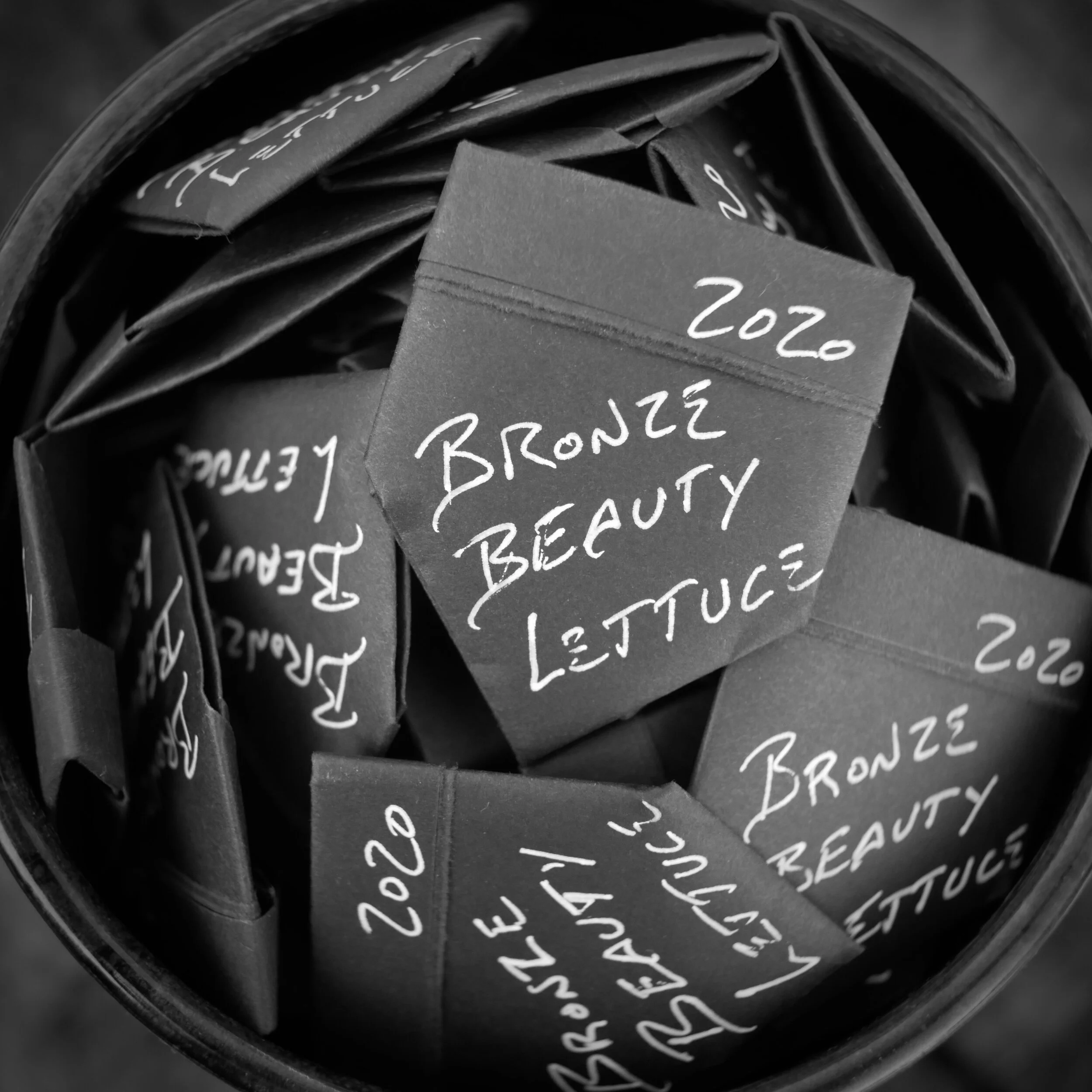 Brone Beauty Seed Pockets.jpg