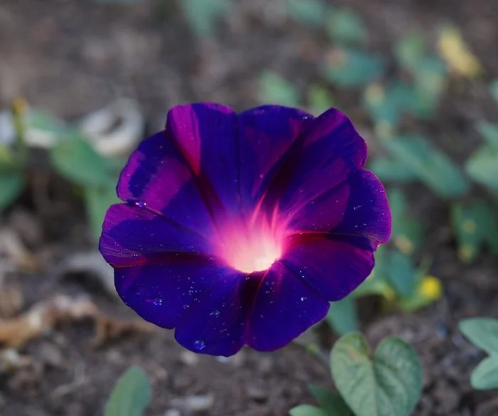 grandpa ott's 2.jpeg