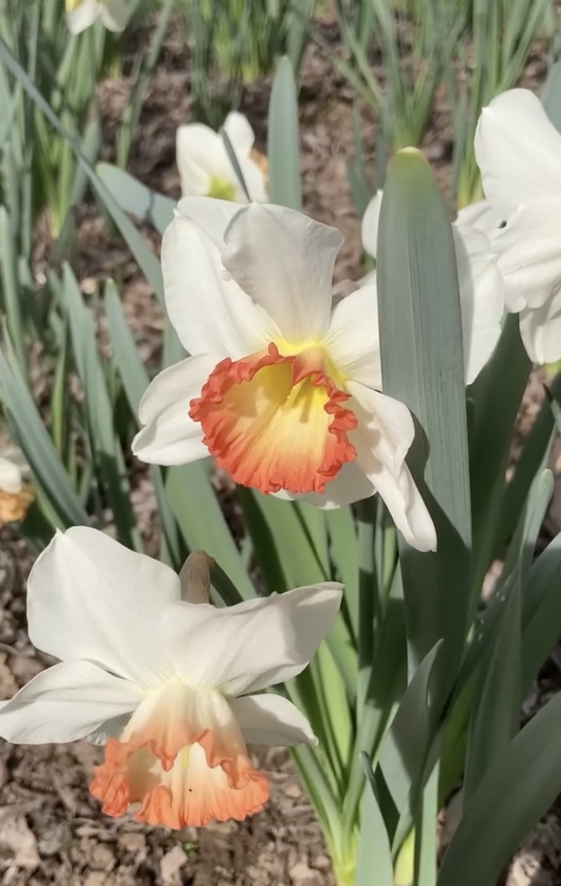 Screenshot 2025-12-11 at 2.33.13 PM.png