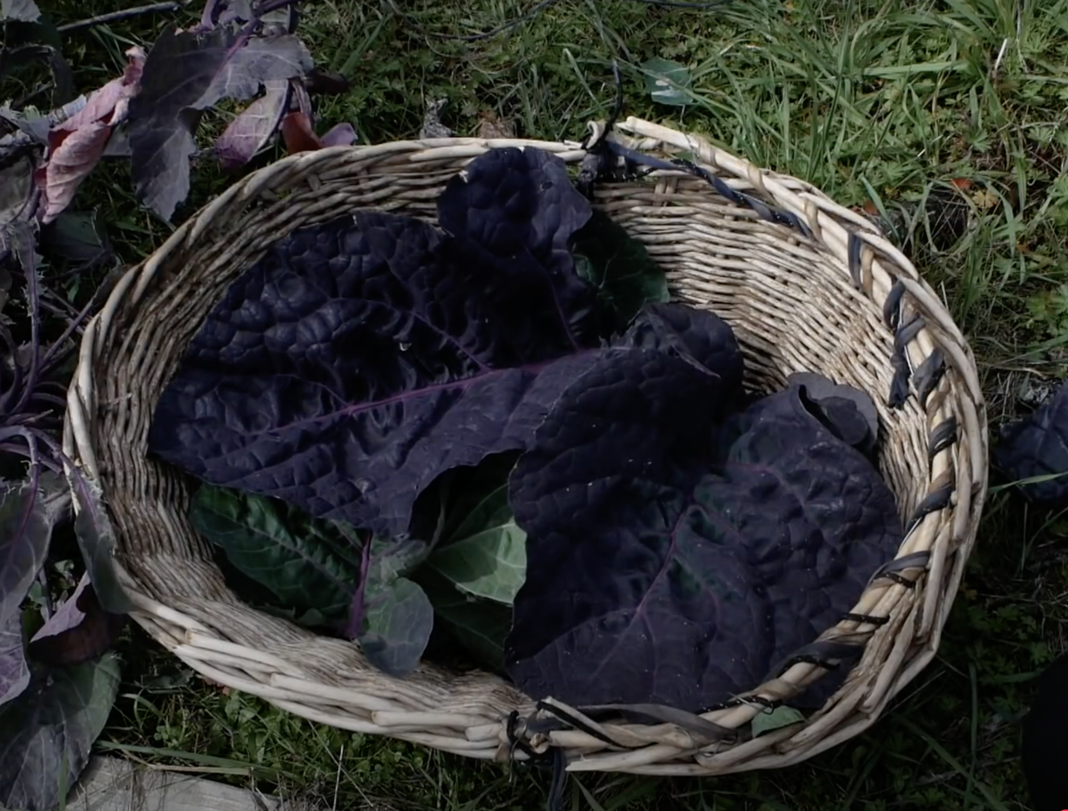 Screenshot 2025-02-17 at 10.44.21 AM.png