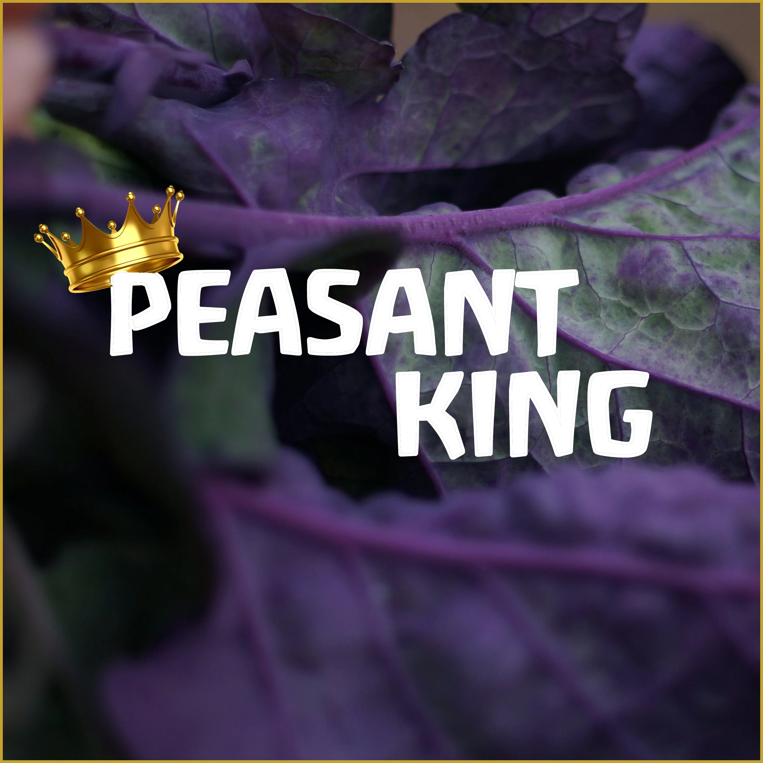 peasant king insta.jpg