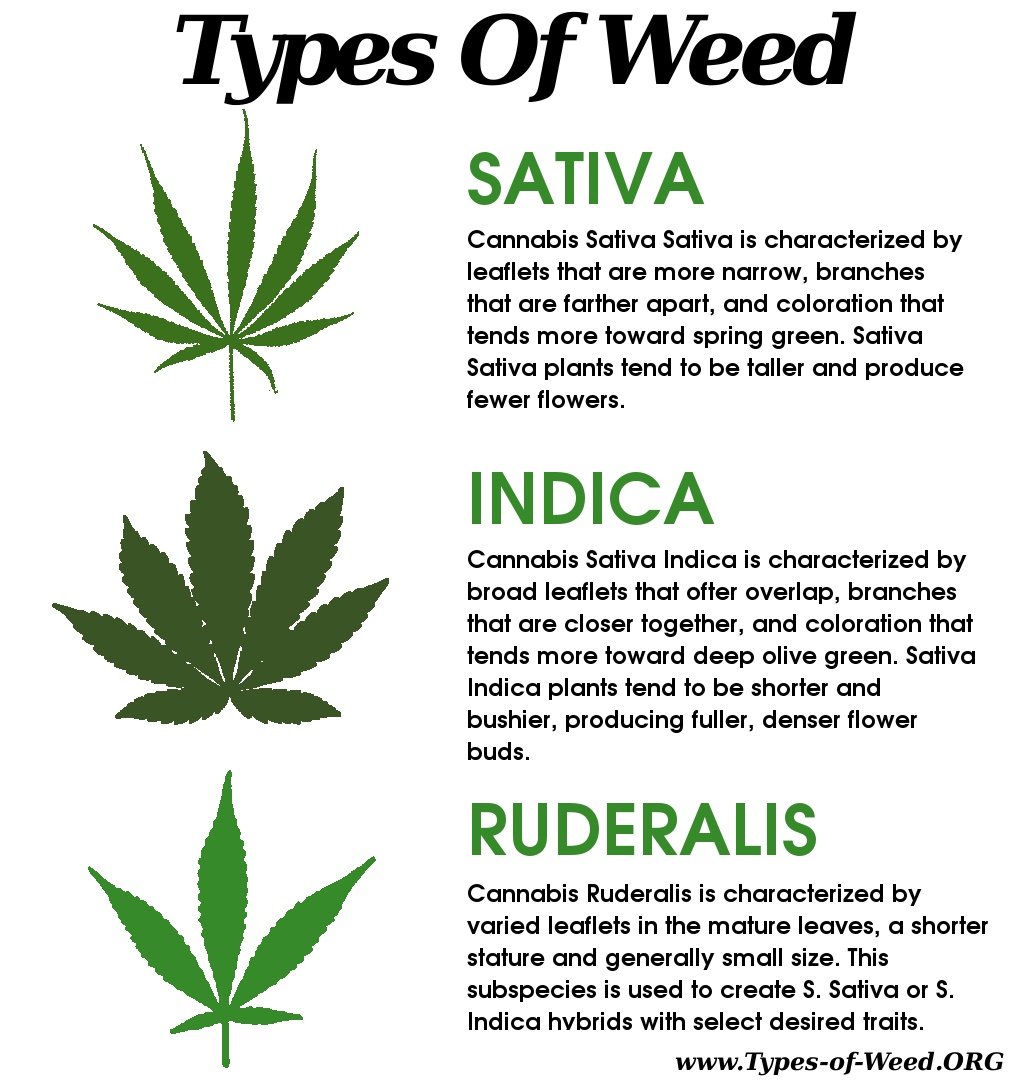 types of weed