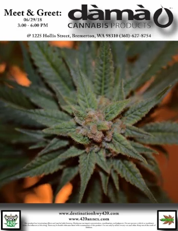 Dama-Meet-&-Greet-Flyer.jpg
