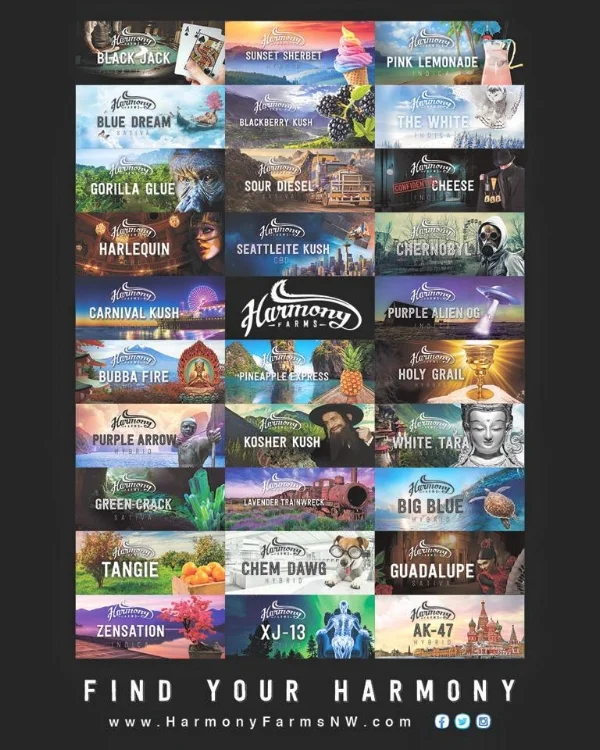 Harmony Farms has a wide range of time proven, potent, and exotic cannabis cultivar to include strains such as Blue Dream, AK-47, Lavender Trainwreck, Pineapple Express, Sour Diesel, Sunset Sherbert, and More.