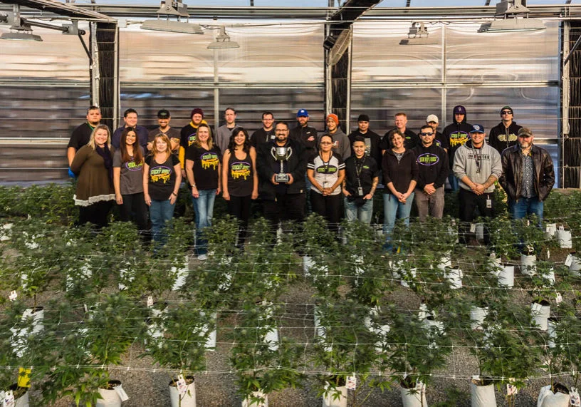 This is the Sticky Budz team. This team is responsible for winning several cannabis industry awards such as the Dope Cup Awards for their concentrates and lotions. The Sticky Budz team will be visiting our store in East Bremerton for a Meet & Greet this Thursday.