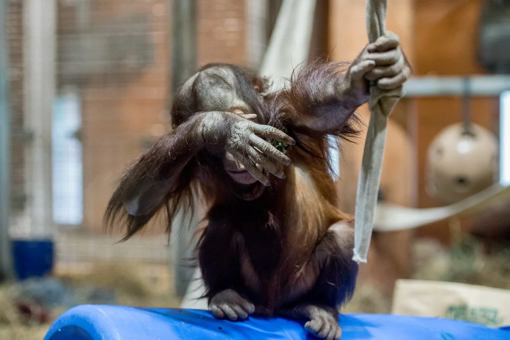 National Zoo
