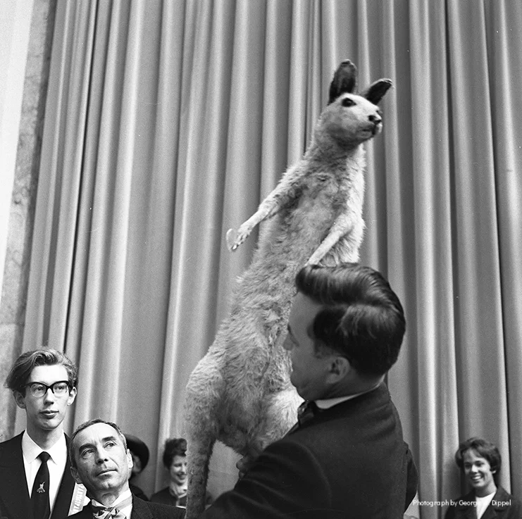 Win a Kangaroo
