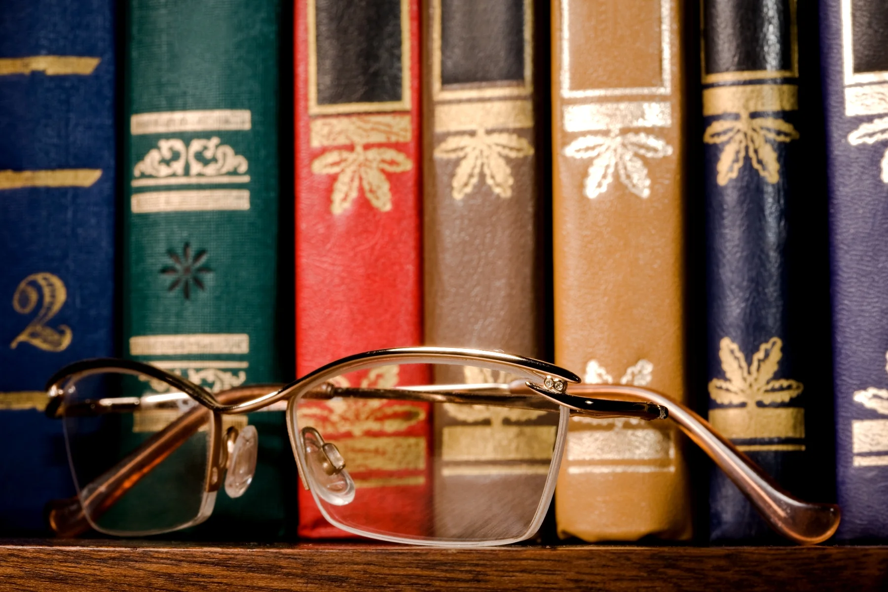 What Can You Do With an English Major? Advice from Former English Students