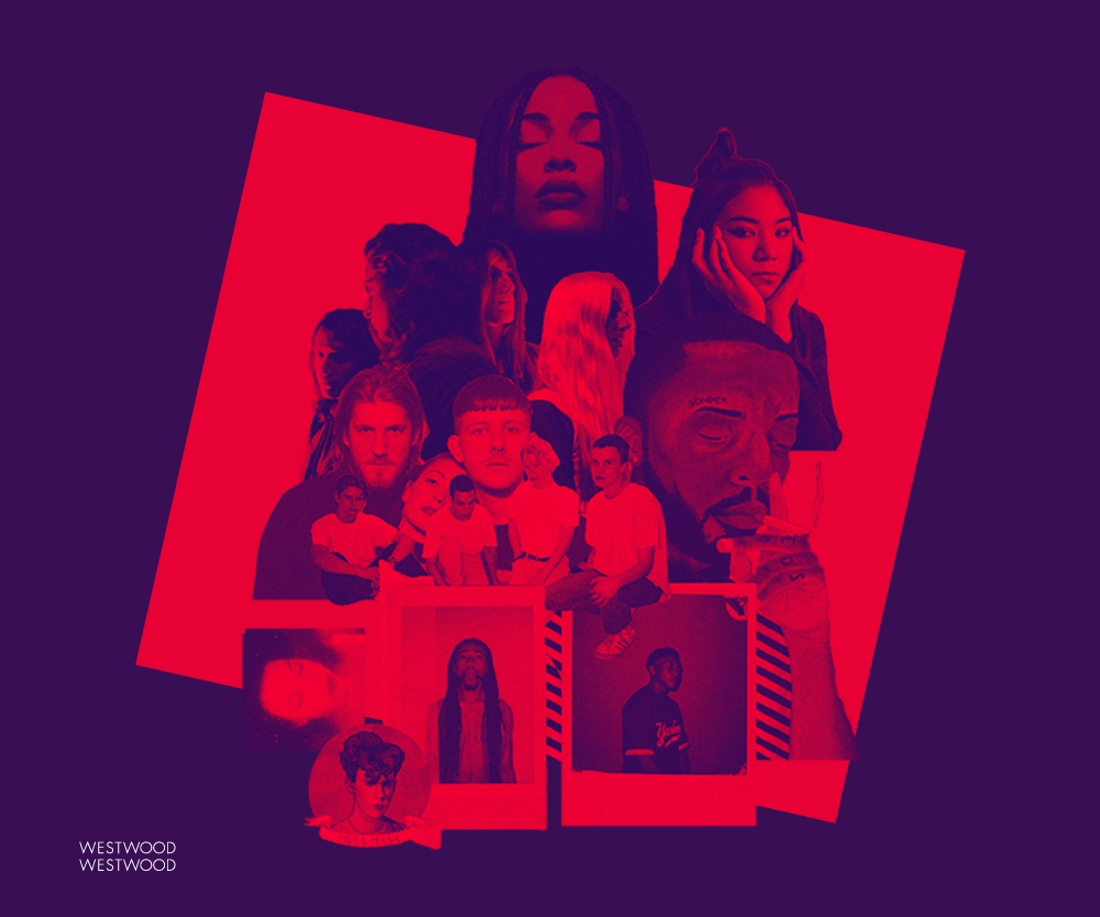 The Best of Everything You Missed in 2016