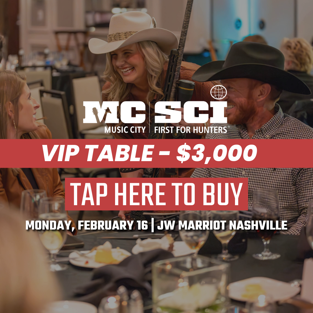 VIP Updated Image.png