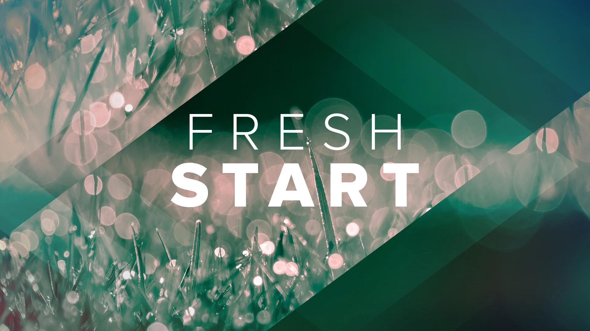 Fresh Start.jpg