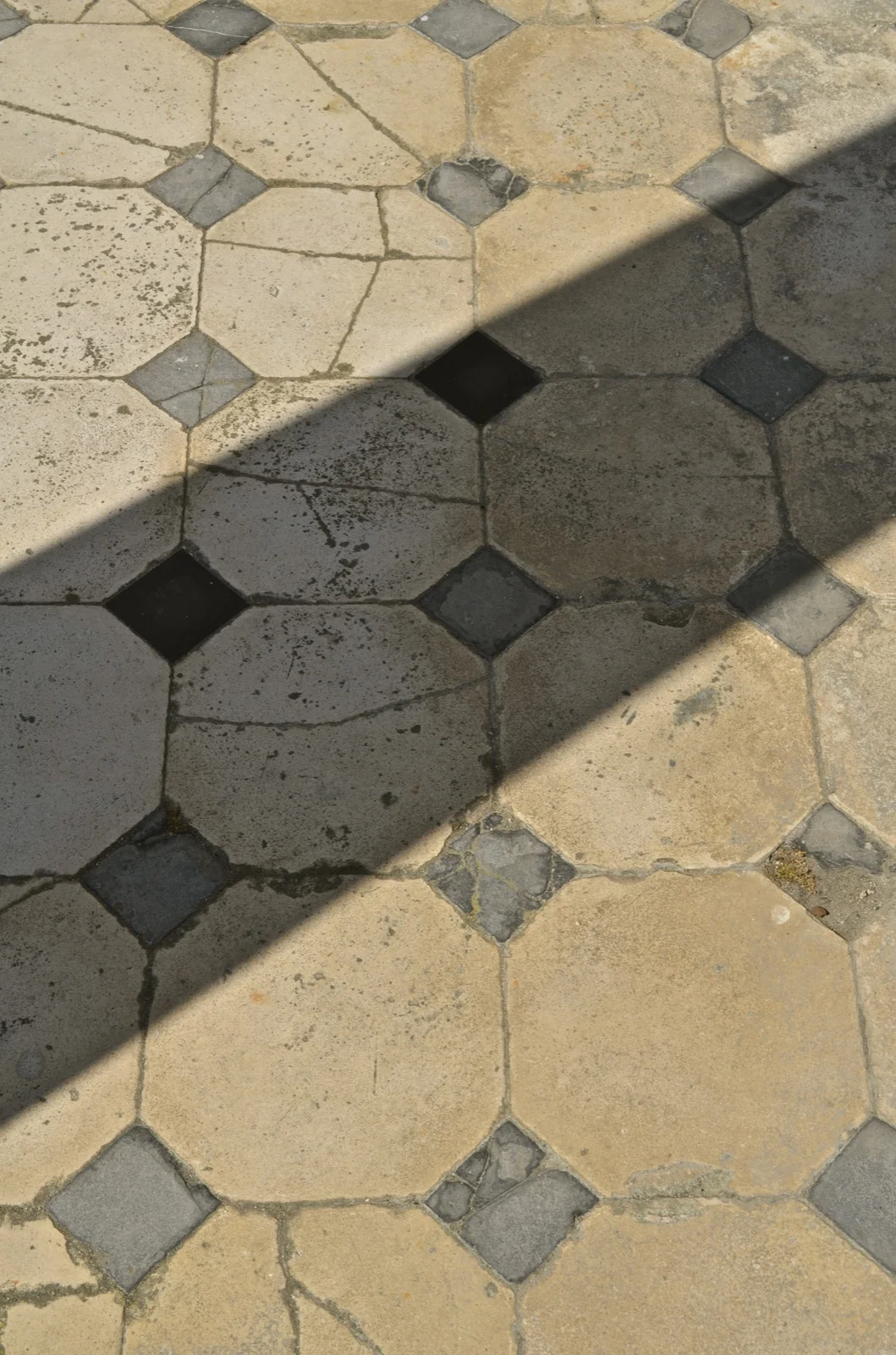DSC_0242.jpg
