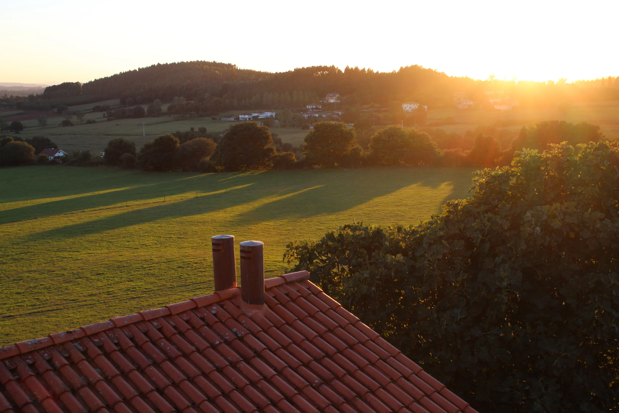 Camino de Santiago de Compostela