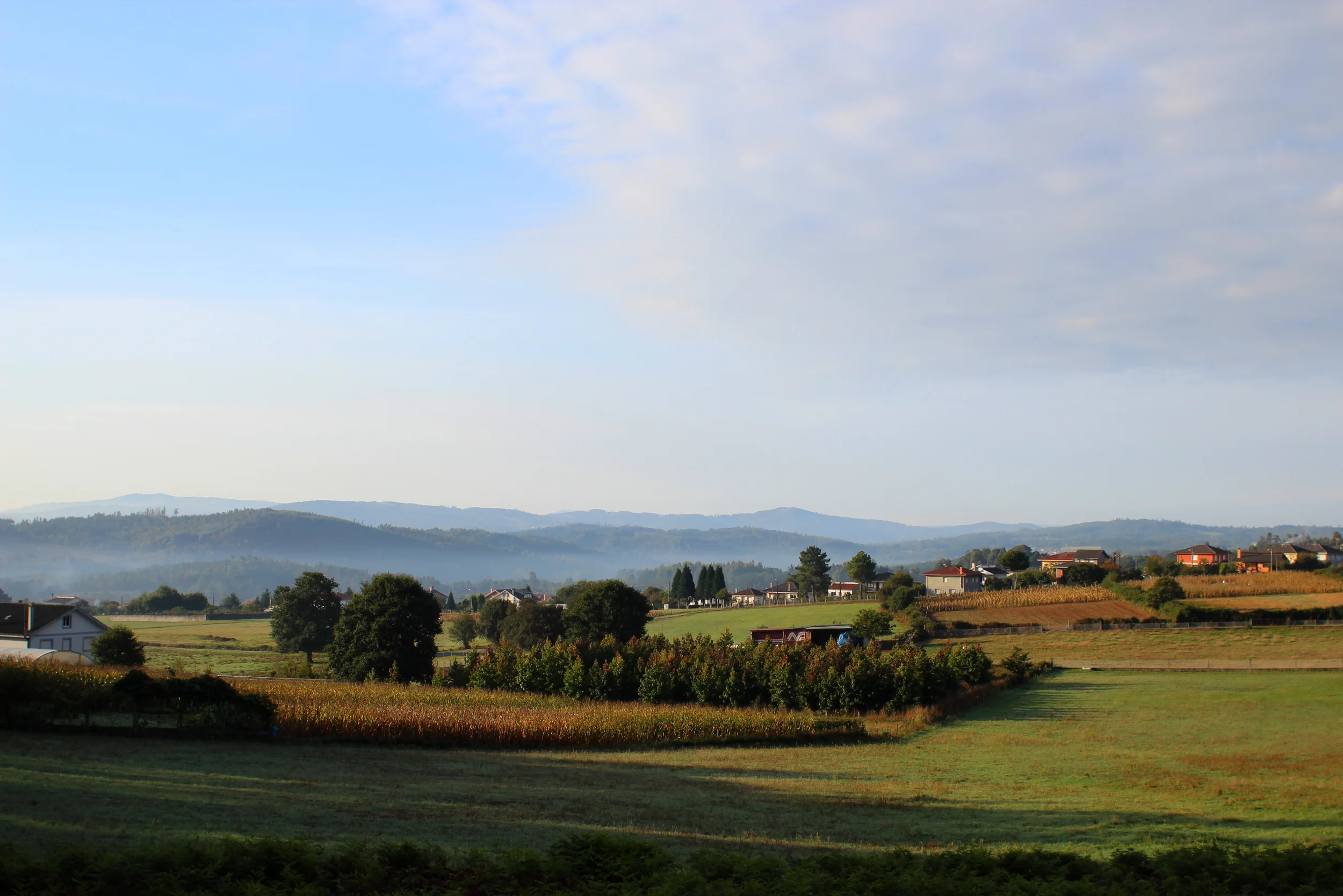Camino de Santiago de Compostela