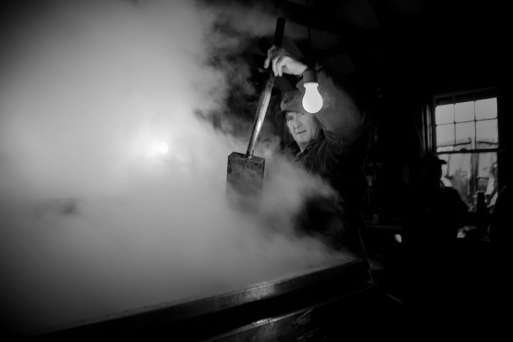 maple-2013-4389-bw.jpg