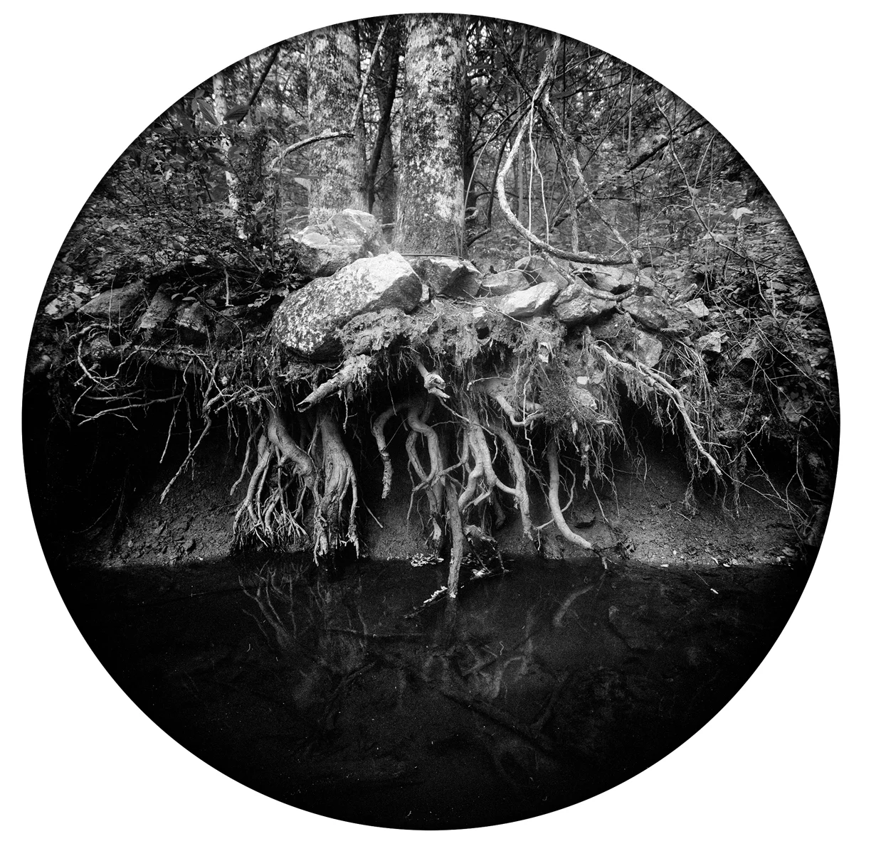 Circles-2015-#7-Negative-1-proof.jpg