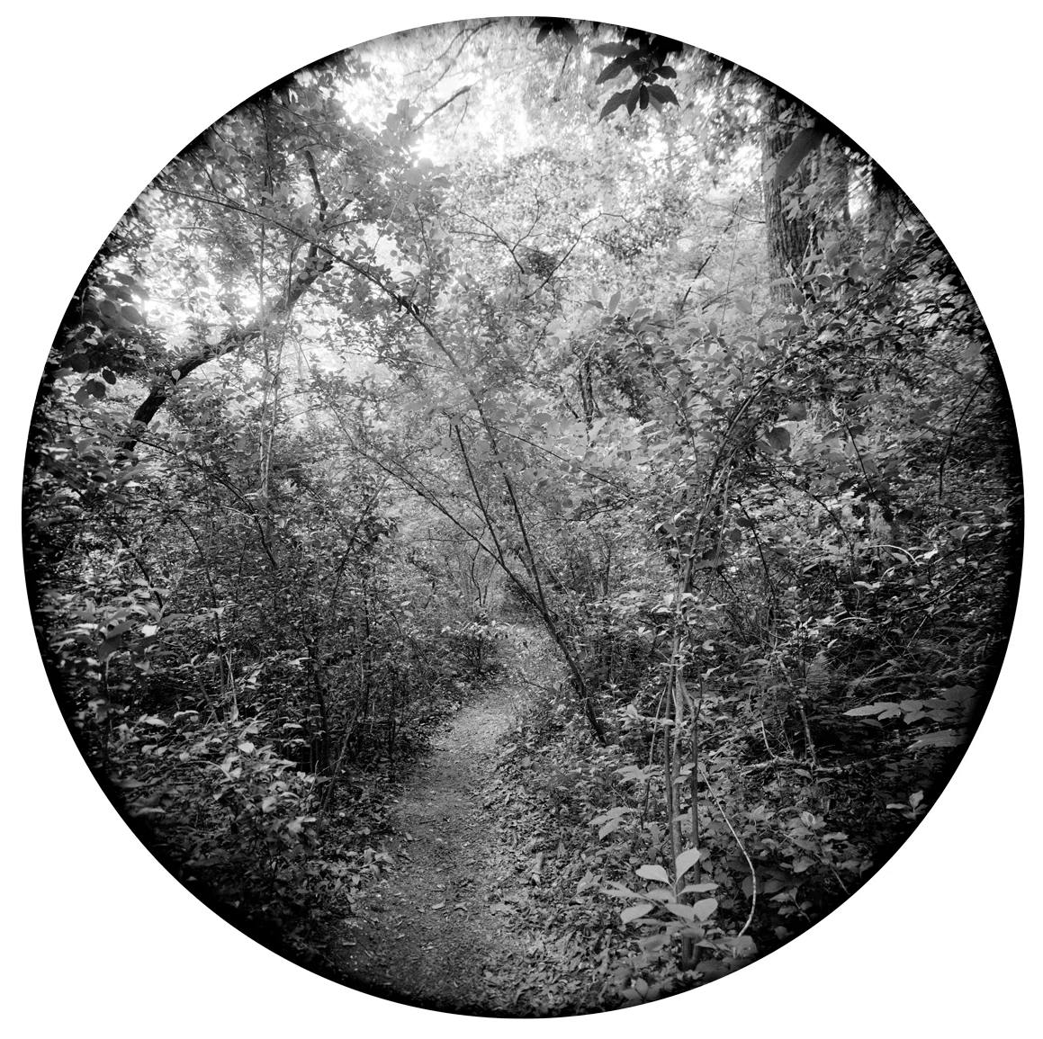 Circles-2015-#12-Neg-2-proof.jpg