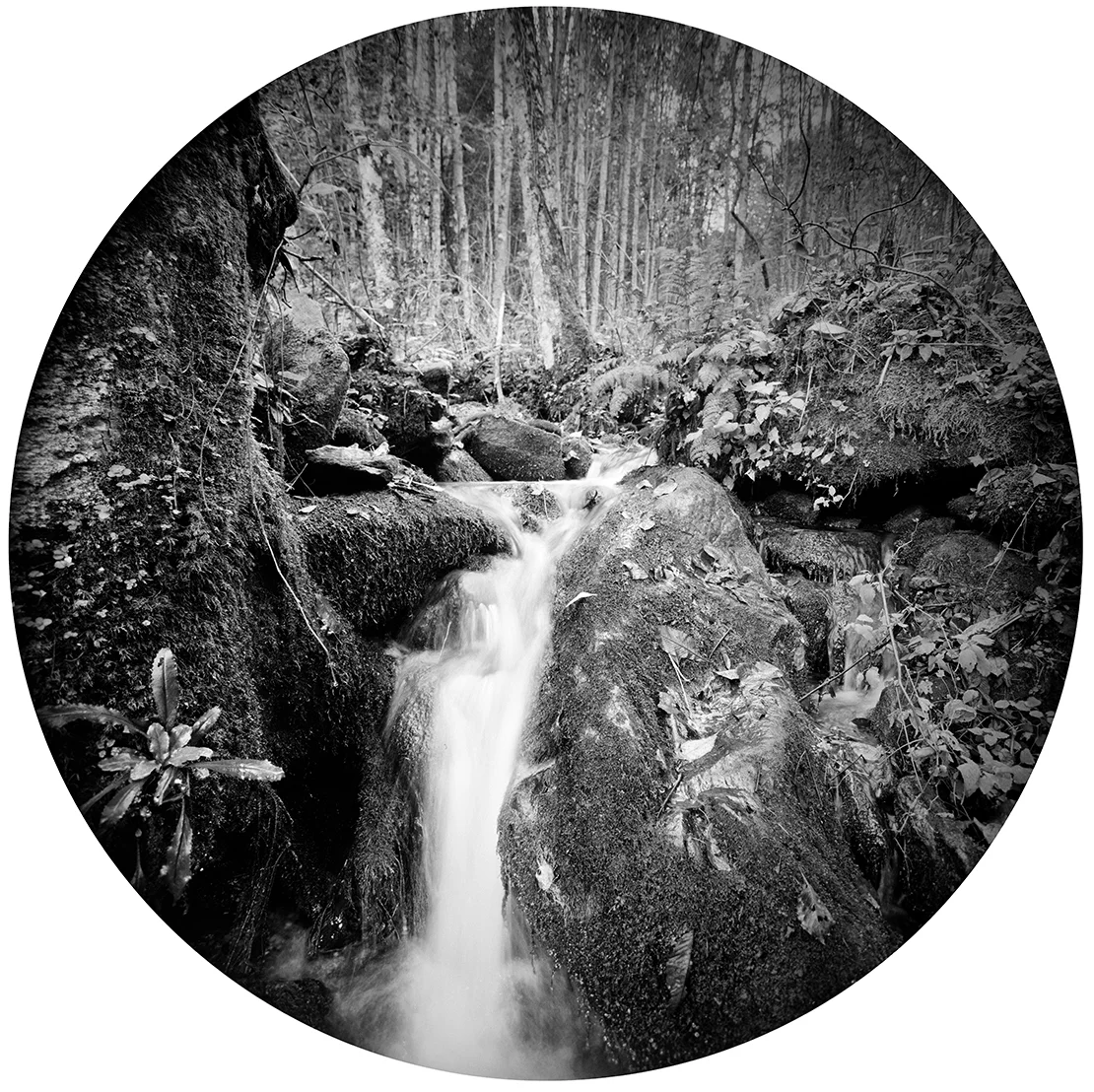 Circles-2015-#40-Neg-2-proof.jpg