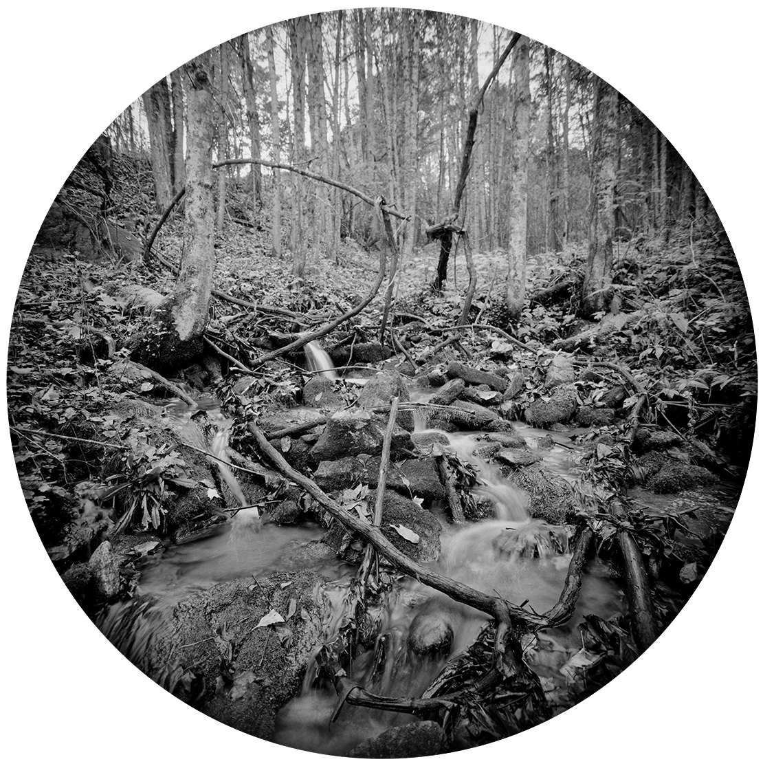 Circles-2015-#40-Neg-4-proof.jpg